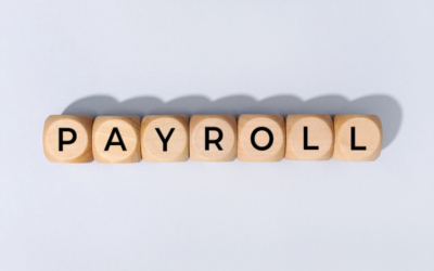 The Basics of Payroll for Small Businesses